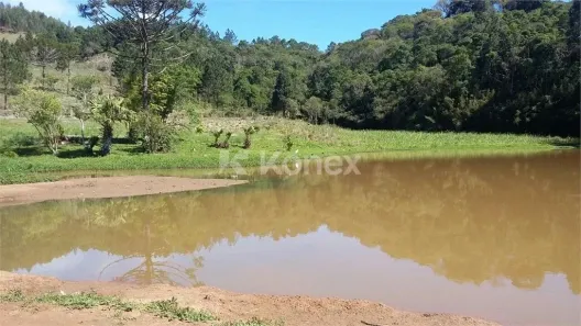 Fazenda/Sítio com 5 Quartos à venda, 1000m² no Rio Turvo, Tapiraí