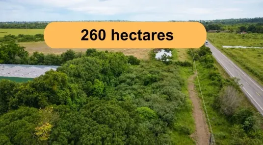Fazenda/Sítio à venda, 2600000m² no Área Rural de Porto Velho, Porto Velho
