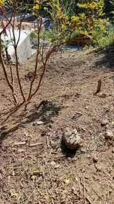 Lote/Terreno à venda, 258m² no Jardim Cruzeiro, Itapevi