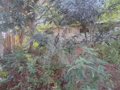 Lote/Terreno à venda, 1945m² no Tucuruvi, São Paulo