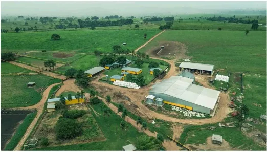 Fazenda/Sítio com 4 Quartos à venda, 2085m² no , Juara