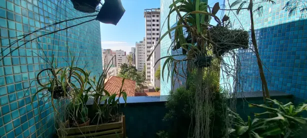 Cobertura com 4 Quartos à venda, 200m² no Santo Antônio, Belo Horizonte