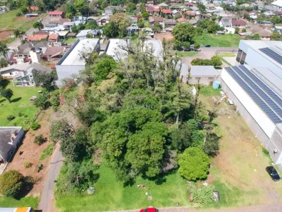 Lote/Terreno à venda, 1700m² no Harmonia, Ivoti