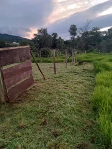 Lote/Terreno à venda, 360m² no Recanto dos Coqueiros, Igarapé