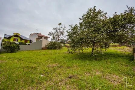 Lote/Terreno à venda, 434m² no Cristo Rei, São Leopoldo