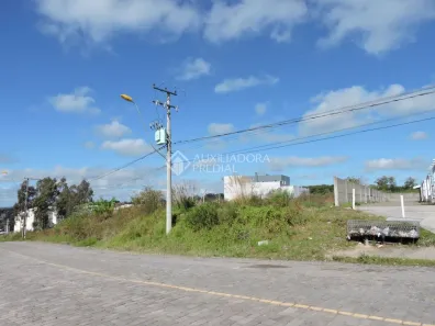 Lote/Terreno à venda, 3806m² no Nossa Senhora das Graças, Caxias do Sul