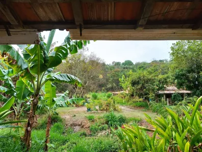 Fazenda/Sítio com 6 Quartos à venda, 2600m² no Vila Ipê Amarelo, Contagem