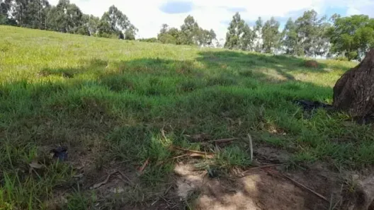 Fazenda/Sítio com 2 Quartos à venda, 121000m² no Zona Rural, Rio Grande