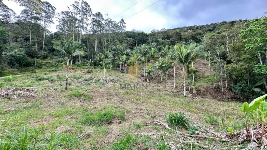 Fazenda/Sítio à venda, 5332m² no Laranjeiras, Luiz Alves