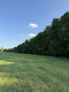 Fazenda/Sítio à venda, 1000m² no Jardim Vitoria, Mairinque