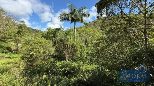 Fazenda/Sítio à venda, 29643m² no Vargem Grande, Florianópolis