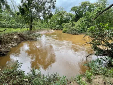 Fazenda/Sítio com 4 Quartos à venda, 400m² no Freitas, São José dos Campos
