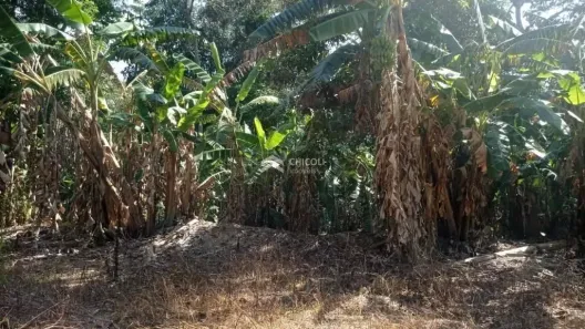 Lote/Terreno à venda, 11000m² no Santana, Cotia