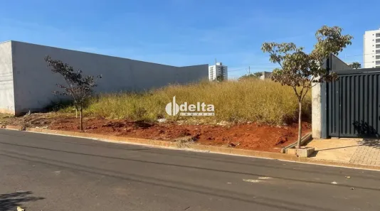 Lote/Terreno à venda, 250m² no Loteamento Portal do Vale II, Uberlândia