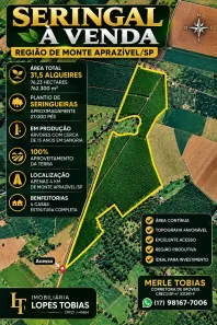 Fazenda/Sítio com 5 Quartos à venda, 762300m² no Centro, Monte Aprazível