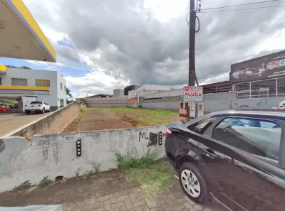Lote/Terreno para alugar, 680m² no Centro, Arapongas