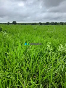 Fazenda/Sítio com 1 Quarto à venda, 4007m² no Veredas, Janaúba