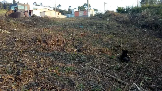Lote/Terreno à venda, 500m² no Esmeralda Park (Caucaia do Alto), Cotia