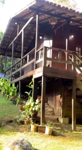 Fazenda/Sítio com 2 Quartos à venda, 2000m² no , Alfredo Chaves