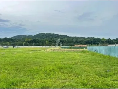 Lote/Terreno à venda, 309m² no Pedra Branca, Palhoça