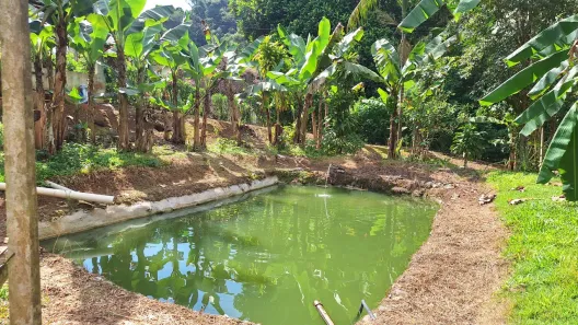 Fazenda/Sítio com 3 Quartos à venda, 100m² no Itariri, Itariri