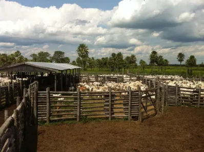 Fazenda/Sítio à venda, 75000000m² no , Terenos