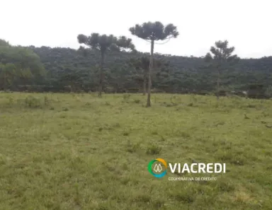 Lote/Terreno à venda, 13592m² no Urubici, Urubici