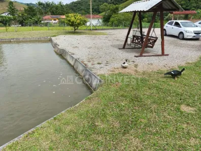 Fazenda/Sítio à venda, 49184m² no Limeira Alta, Brusque