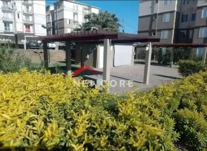 Apartamento com 3 Quartos à venda, 54m² no Vila Marieta, Campinas