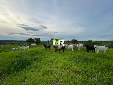 Fazenda/Sítio com 3 Quartos à venda, 1073600m² no Centro, Caldas Novas