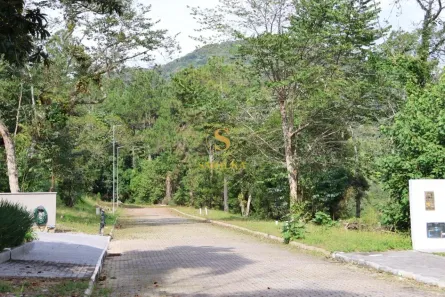 Lote/Terreno à venda, 451m² no Ratones, Florianópolis