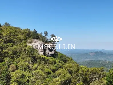Lote/Terreno à venda, 25446m² no São Luiz do Purunã, Balsa Nova