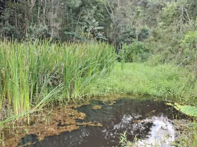 Fazenda/Sítio com 3 Quartos à venda, 48400m² no Parque San Marino, Piracaia