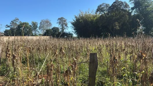 Lote/Terreno à venda, 2000m² no Centro, Cesário Lange
