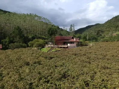 Imóvel Comercial à venda, 83400m² no , Major Gercino