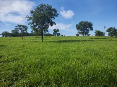 Fazenda/Sítio com 3 Quartos à venda, 144000000m² no , Terenos