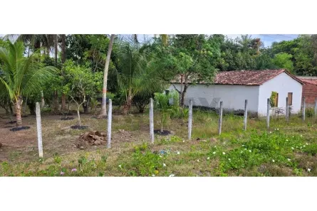 Fazenda/Sítio com 2 Quartos à venda, 4800m² no Sauípe, Alagoinhas