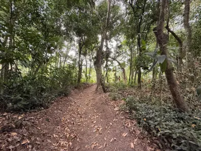 Fazenda/Sítio à venda, 3600m² no Papucaia, Cachoeiras de Macacu