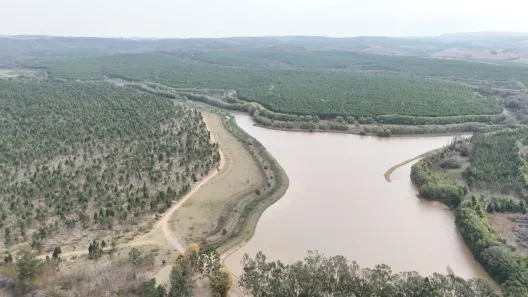 Fazenda/Sítio com 2 Quartos à venda, 70m² no Área Rural de Tatuí, Tatuí