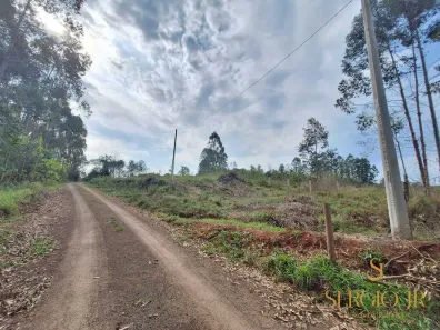 Fazenda/Sítio à venda, 20000m² no , Triunfo