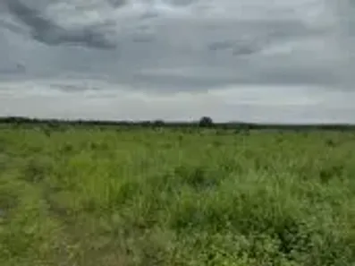 Fazenda/Sítio à venda, 1200m² no Centro, Acorizal