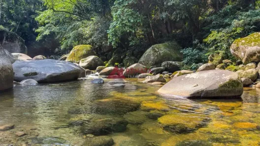 Fazenda/Sítio com 15 Quartos à venda, 8470m² no Barreira, Guapimirim