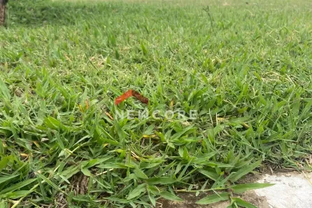 Lote/Terreno à venda, 100m² no Parque Reserva Fazenda Imperial, Sorocaba