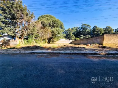Lote/Terreno à venda, 468m² no Cará-cará, Ponta Grossa