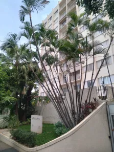 Apartamento com 3 Quartos à venda, 100m² no Cambuí, Campinas