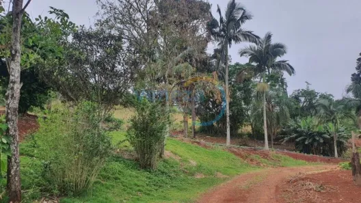 Fazenda/Sítio à venda, 160444m² no Irerê, Londrina
