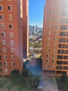 Apartamento com 3 Quartos para alugar, 72m² no Nova Campinas, Campinas