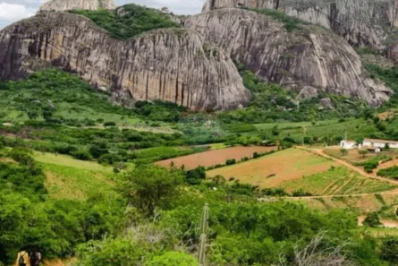 Lote/Terreno à venda, 200m² no , Serra de São Bento