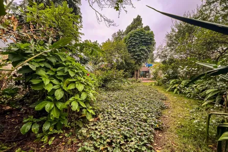 Lote/Terreno à venda, 788m² no Alto de Pinheiros, São Paulo