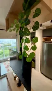 Apartamento com 1 Quarto para alugar, 33m² no Centro, Mogi das Cruzes